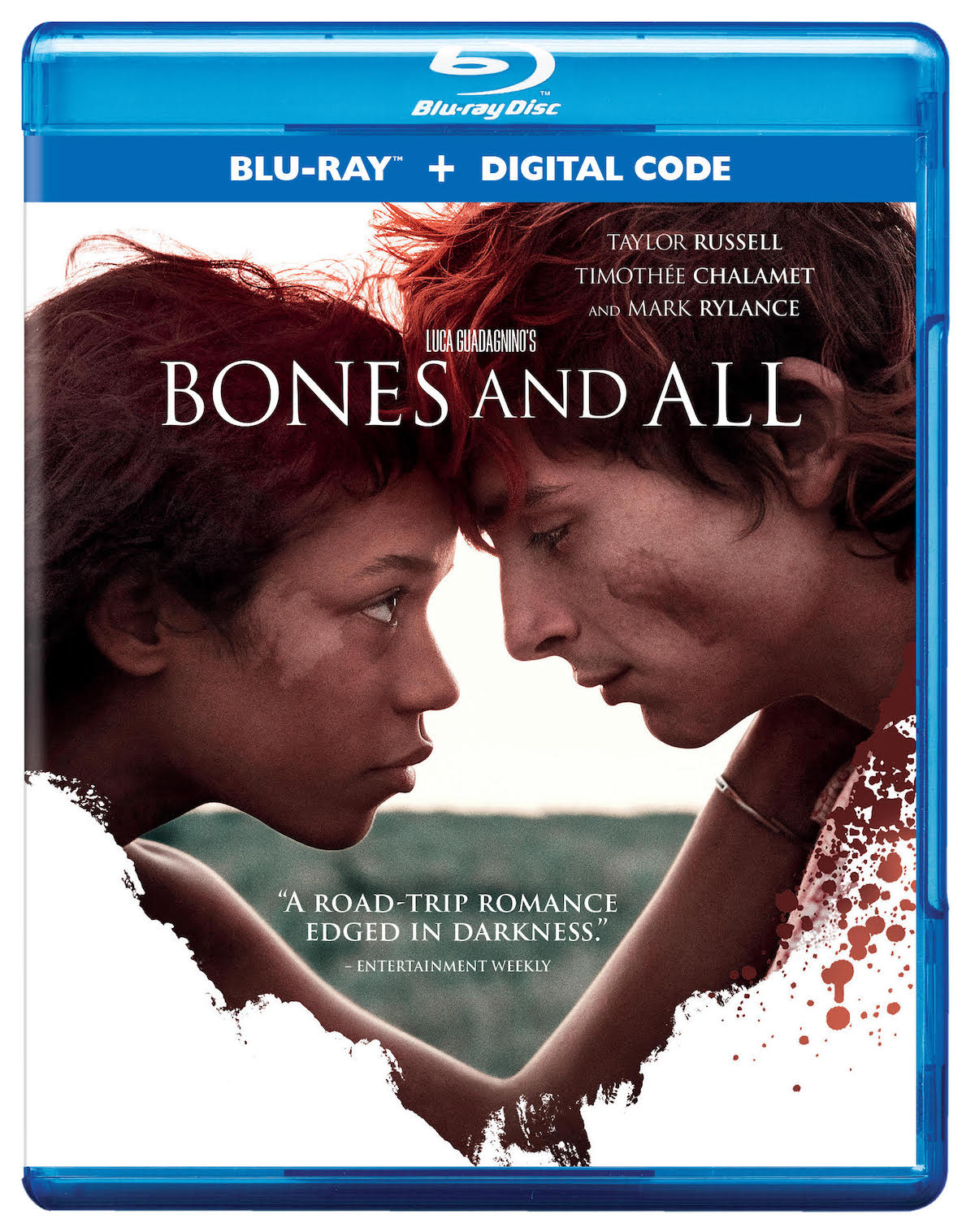 https://www.wikirise.com/wp-content/uploads/2022/12/1671114372_938_Bones-and-All-Blu-ray-Release-Date-Set-for-January-2023.jpg